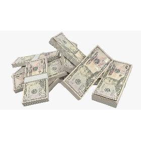 3D Bunch of Money V8